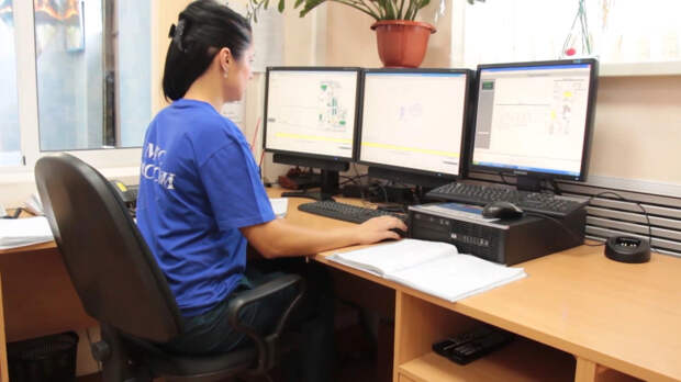 Поиски пропавших детей в Звенигороде дали результаты. Что известно на данный момент?