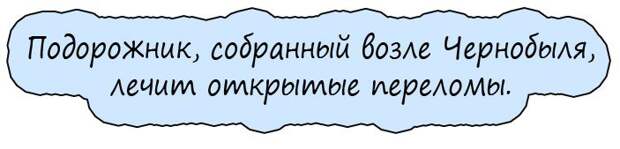 Пьяный мужик гуляя ночью по кладбищу упал в вырытую могилу...