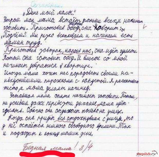 15 перлов из школьных тетрадей 15 перлов из школьных тетрадей дети, перлы, школа