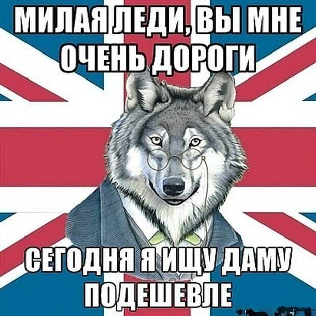 Прикольные картинки