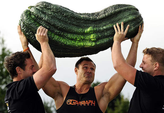 veggies05 7 гигантских овощей рекордсменов