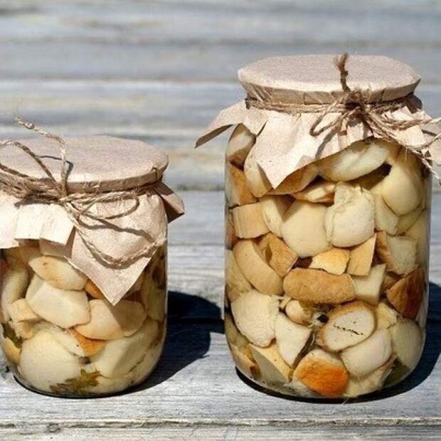 Маринованные белые грибы