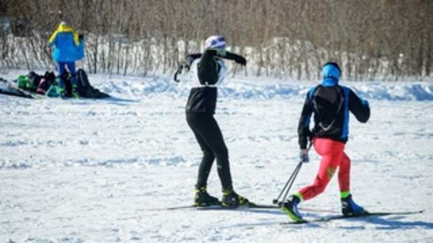 Лыжники Алтайского края / Фото: amic.ru