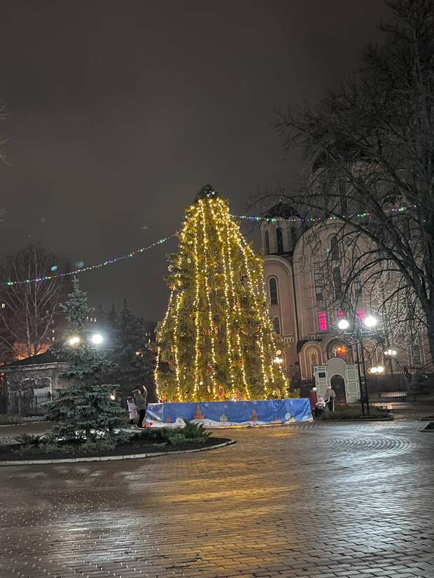 Вечерняя ёлка в Макеевке