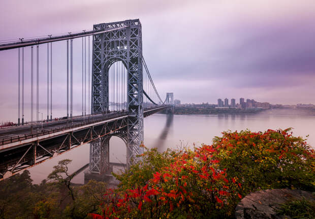 George Washington Bridge In Autumn  by David Dai on 500px.com