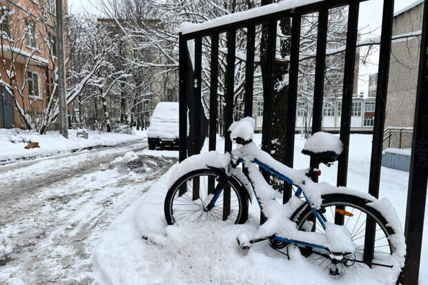 Во второй половине недели в Москве потеплеет до плюсовых значений