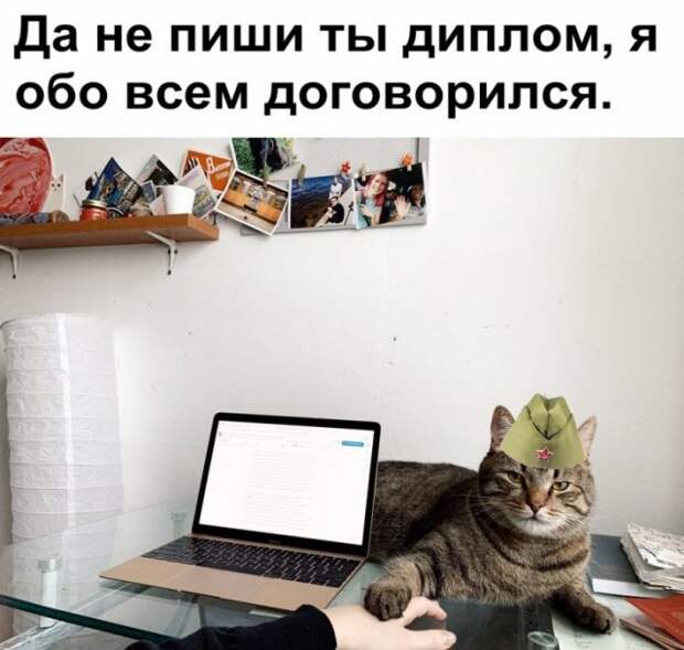 Уморительные картинки и остроты на все случаи жизни Уморительные картинки и остроты на все случаи жизни