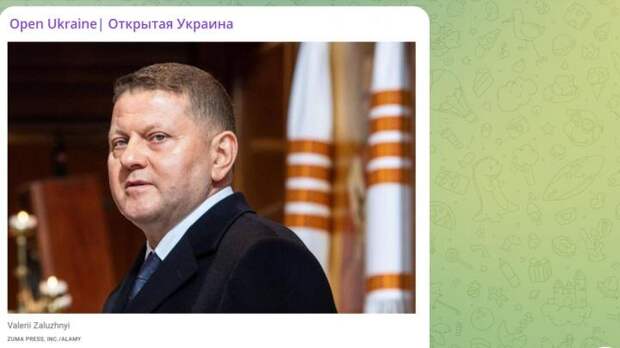 Скрин "Открытая Украина".