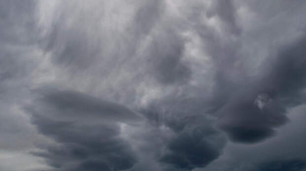 26 и 27 января в Крыму ожидается сильный ветер