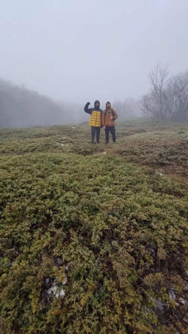 Доброе утро! И хорошего дня!