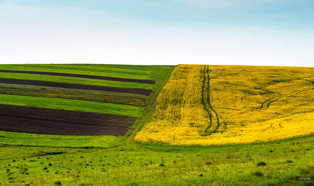 Весна в Карпатах