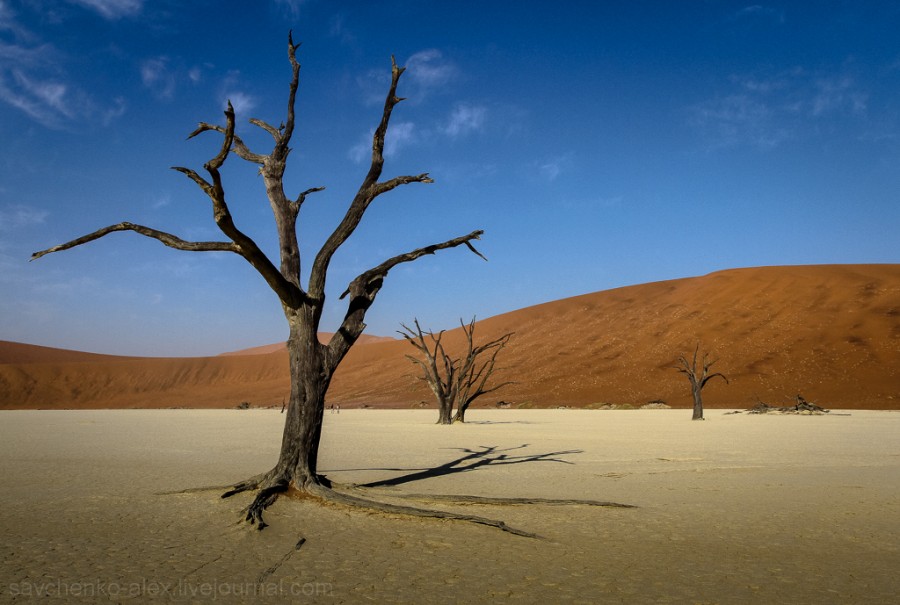 Африка. Намибия. Пустыня Намиб Соссусфлей Sossusvlei21 Африка. Намибия. Пустыня Намиб Соссусфлей