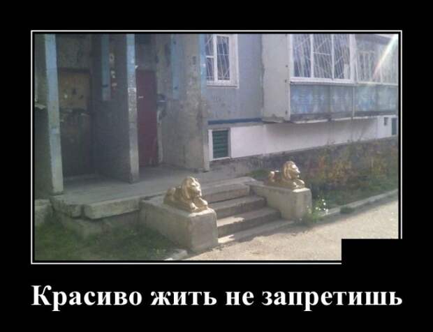 Демотиваторы (30 фото)