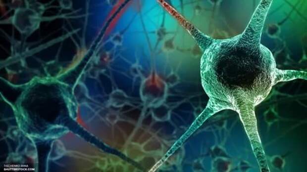 Вирусные гены в мозге
