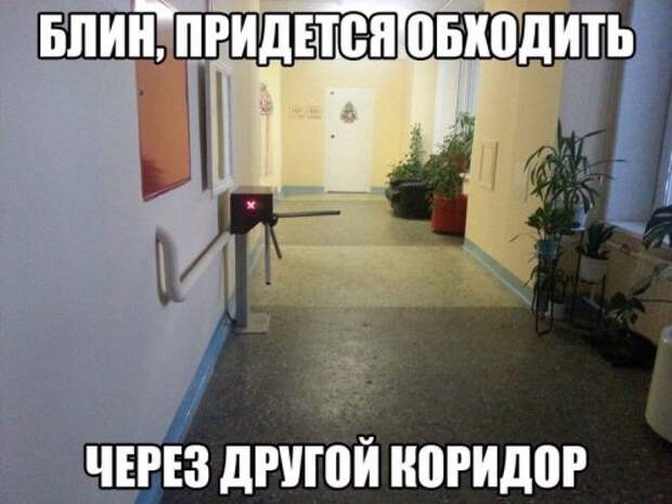 Прикольные картинки (67 шт)