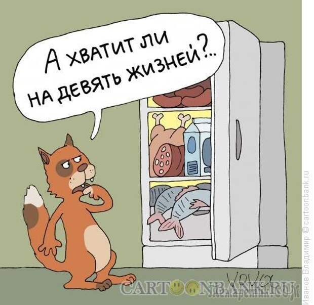 Шутки со страниц интернета