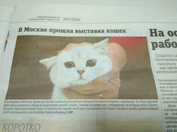 Все прекрасно, когда в газете работает фотограф ОТ БОГА Все прекрасно, когда в газете работает фотограф ОТ БОГА газета, маркетинг, новость, прикол, сми, юмор