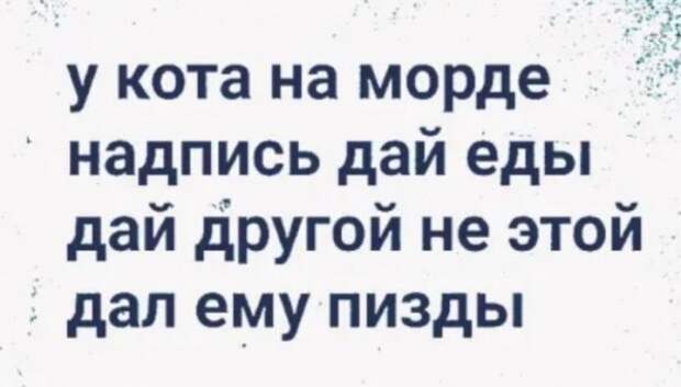 Юмор на любителя Юмор на любителя
