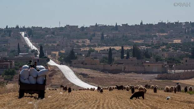 Сирия: около 250 беженцев вернулись домой за сутки