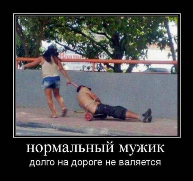 1592379313_demy-17.jpg