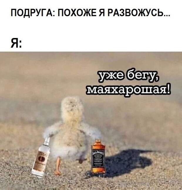 О браке и разводе с юмором. Пятничная подборка.