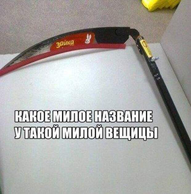 Свежие картинки с надписями на сегодняшний день (вторник)