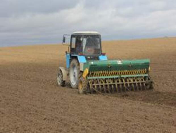 Зерно раздора между ингушом и казаками