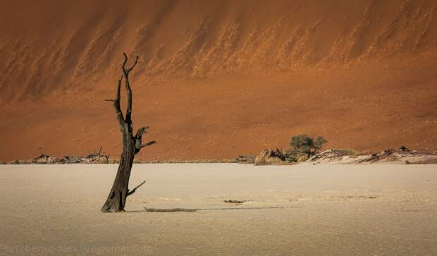 Sossusvlei05 Африка. Намибия. Пустыня Намиб   Соссусфлей