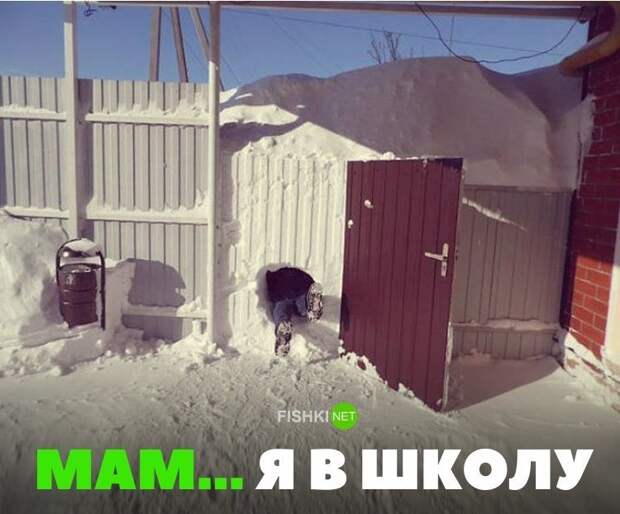 Тем временем, Собянин объявил свободный режим посещения школ в связи с непогодой Тем временем, Собянин объявил свободный режим посещения школ в связи с непогодой зима, казань, москва, погода, прикол, санкт- петербург, снег, юмор
