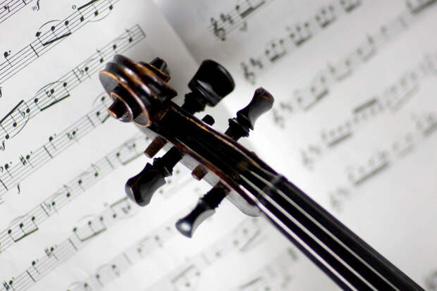 Михаил Хохлов: В России катастрофически не хватает скрипачей и виолончелистов