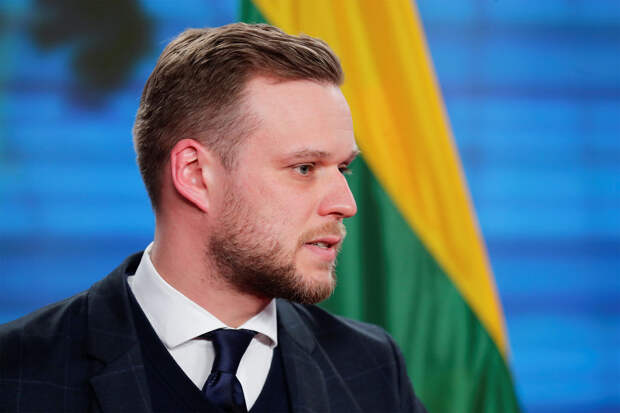 Глава МИД Литвы Ландсбергис: Украину спасет только включение в оборону НАТО