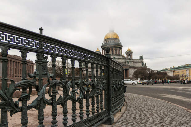 IMG_4981.jpg
