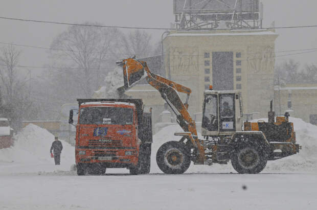 "Никогда такого Германия не видела". Видео немецкого журналиста с уборкой снега в России стало вирусным