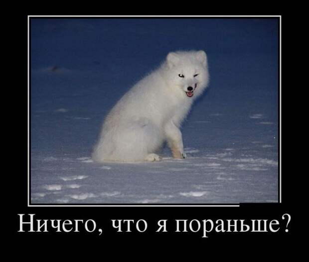 Демотиваторы (30 фото) Демотиваторы (30 фото)