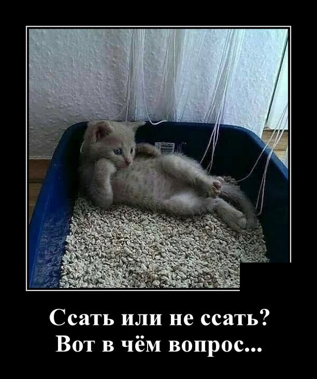 Демотиваторы (20 фото)