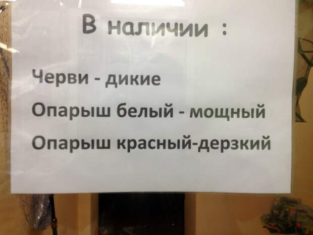 Каждый наш червь - личность! Каждый наш червь - личность!