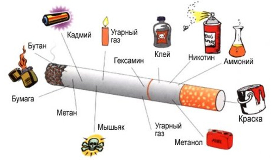6 фактов о курении