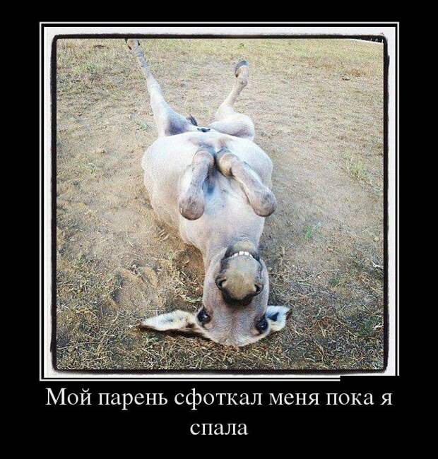 Демотиваторы (30 фото) Демотиваторы (30 фото)