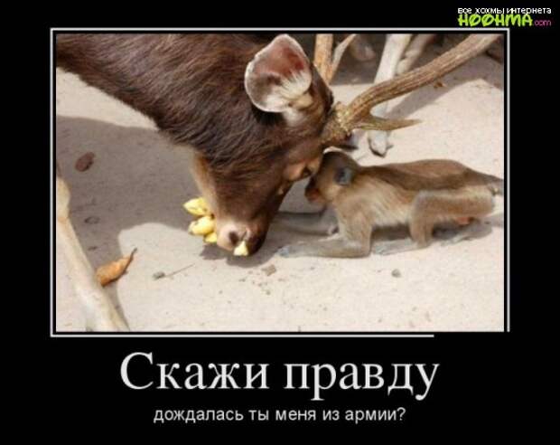 Смешные демотиваторы