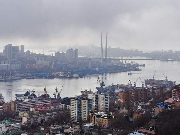 Владивостокская таможня зафиксировала рост ввоза автомобилей в 2025 году