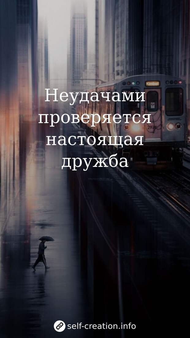 Цитата о дружбе