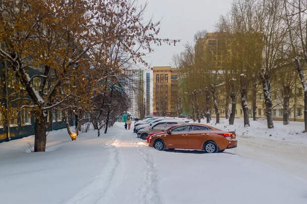 Власти региона помогли Новосибирску с уборкой улиц от снега