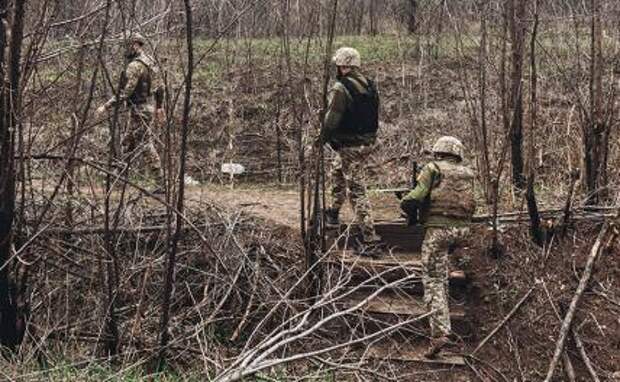 Ловля на плацдарм: бандеровцев заманили в пристрелянную низину и отрезали от тыла