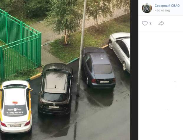 К пешеходной дорожке на Дмитровке вернут ограждающий столбик