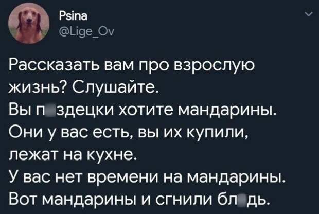 @psychology_funny #юмор #смешное #приколы