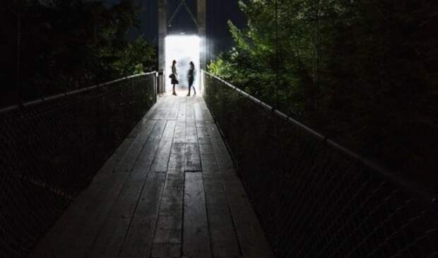 Заколдованный лес Foresta Lumina (11 фото + видео)