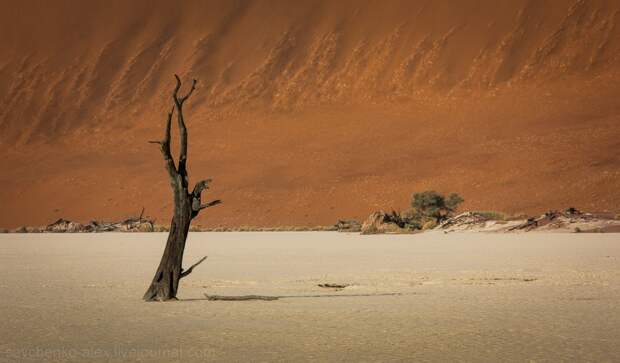 Африка. Намибия. Пустыня Намиб Соссусфлей Sossusvlei05 Африка. Намибия. Пустыня Намиб Соссусфлей