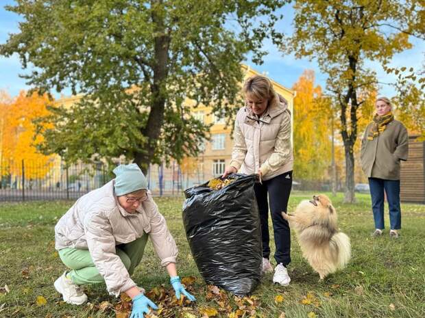 В Красногвардейском районе на «Добрый субботник» вышли 11 тысяч человек