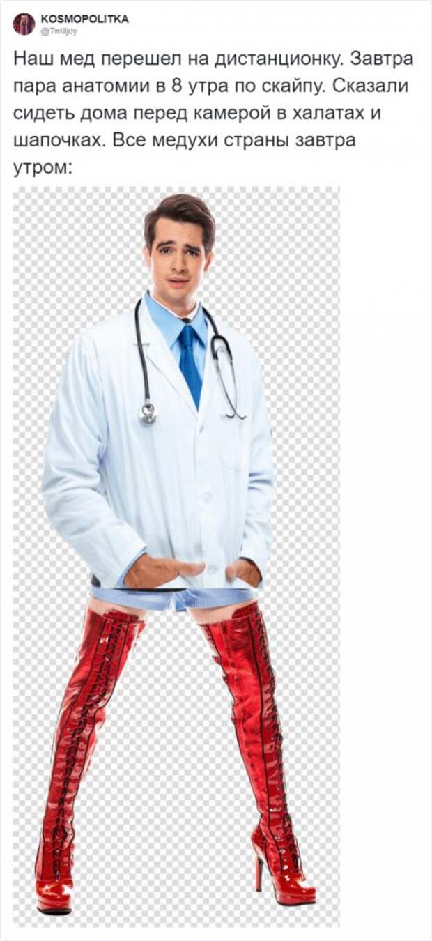 190678_13_trinixy_ru.png
