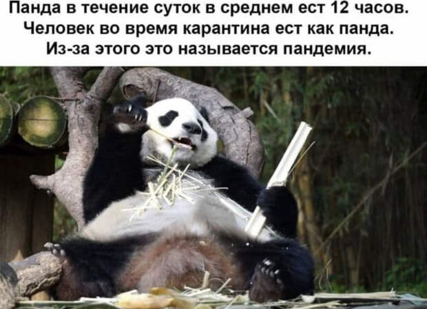 Пандемия...